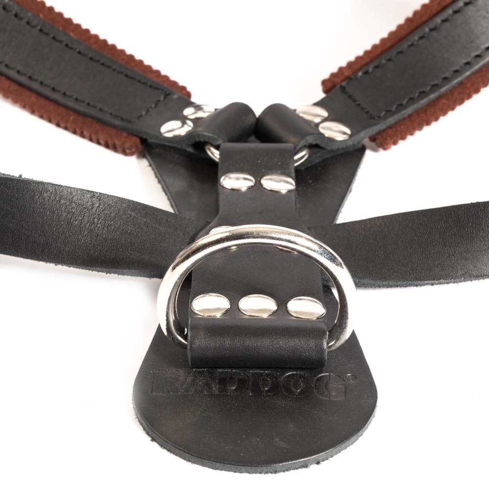 Raddog nahast treeningtraksid