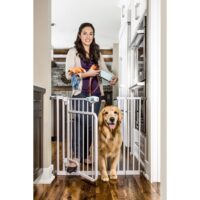 Carlson Pet jalaga avatav turvapiire