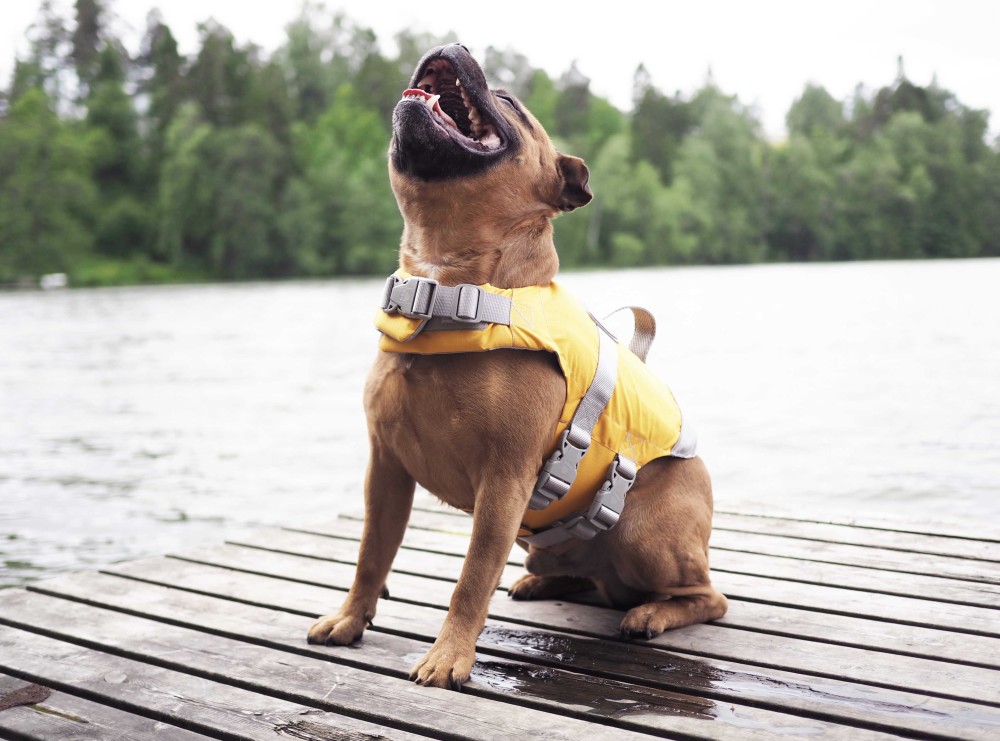 Hurtta Life Savior päästevest