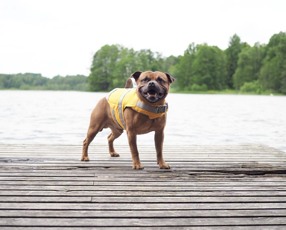 Hurtta Life Savior päästevest