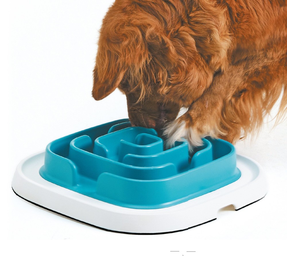 Savic Enigma 21 sööginõu