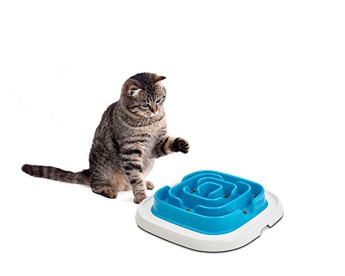 Savic Enigma 21 sööginõu