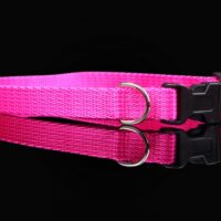 ZL nailonist kaelarihm (kutsikale)