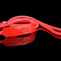 ZL nailonist näituserihm nahast pehmendusega