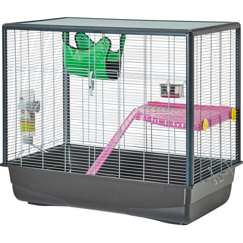 Näriliste puur Zeno 2 hamstrile ja rotile