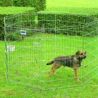 Savic Dog Park aedik