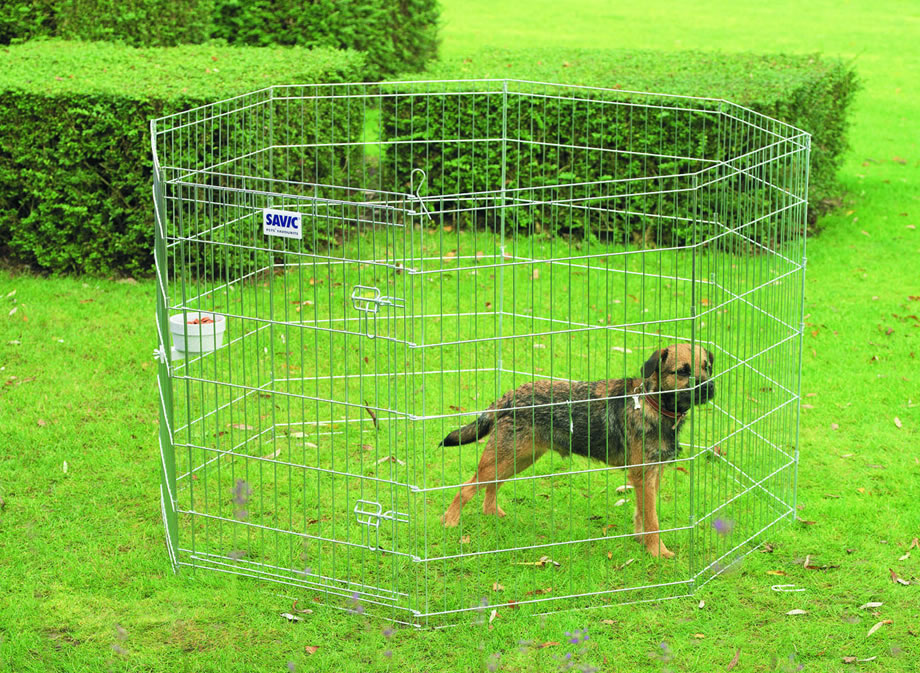 Savic Dog Park aedik