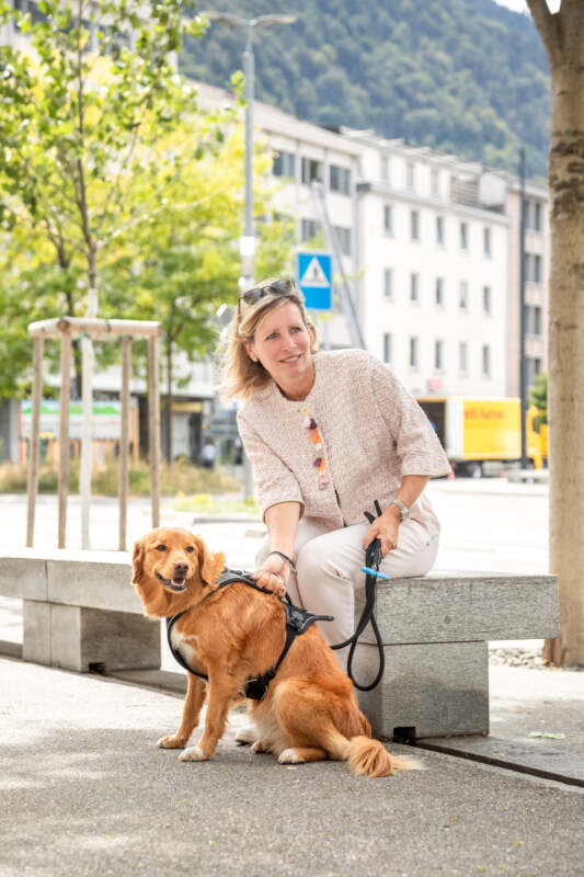 Curli Belka Magnetic traksid koertele - Image 5