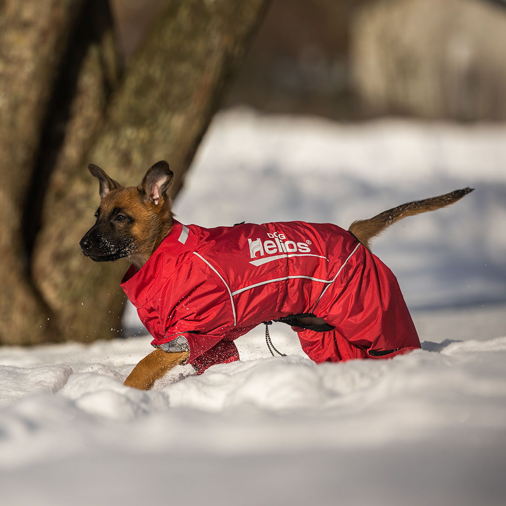 GS Helios soojust peegeldav kombinesoon koertele - Image 4