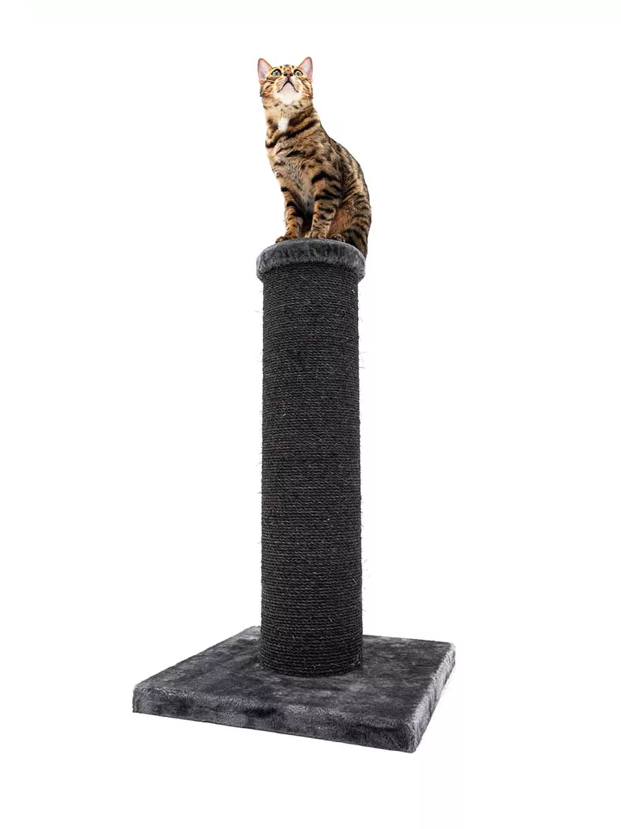 Petrebels Savannah 86 kraapimispuu kassidele - Image 4