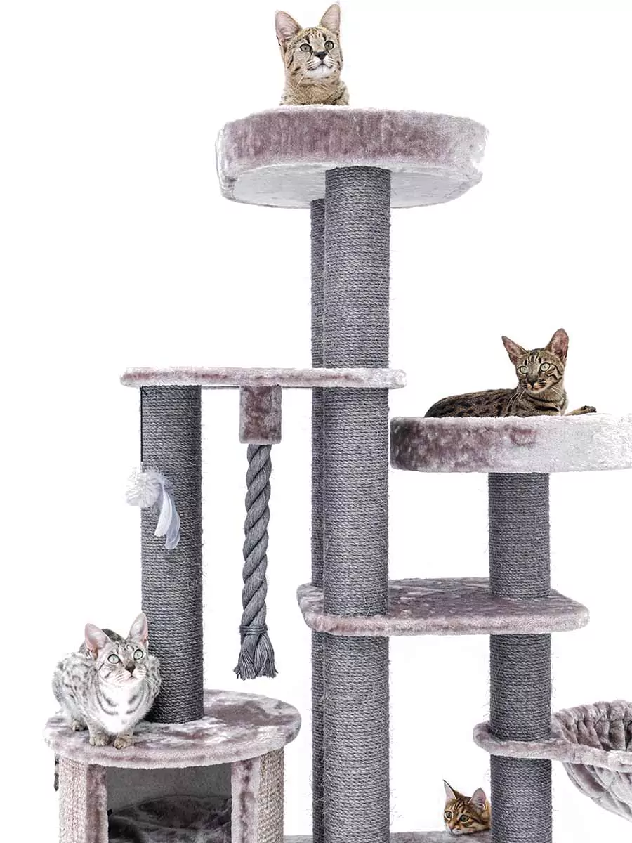 Petrebel Scenic View 197 kraapimispuu kassidele - Image 6