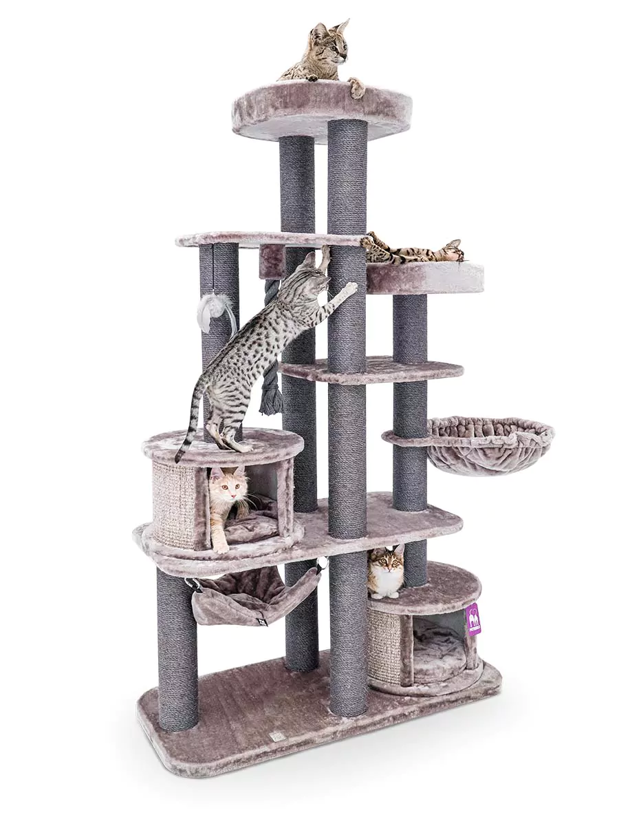 Petrebel Scenic View 197 kraapimispuu kassidele - Image 2