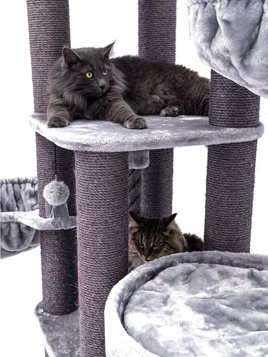 Petrebel Vista 170 kraapimispuu kassidele - Image 3