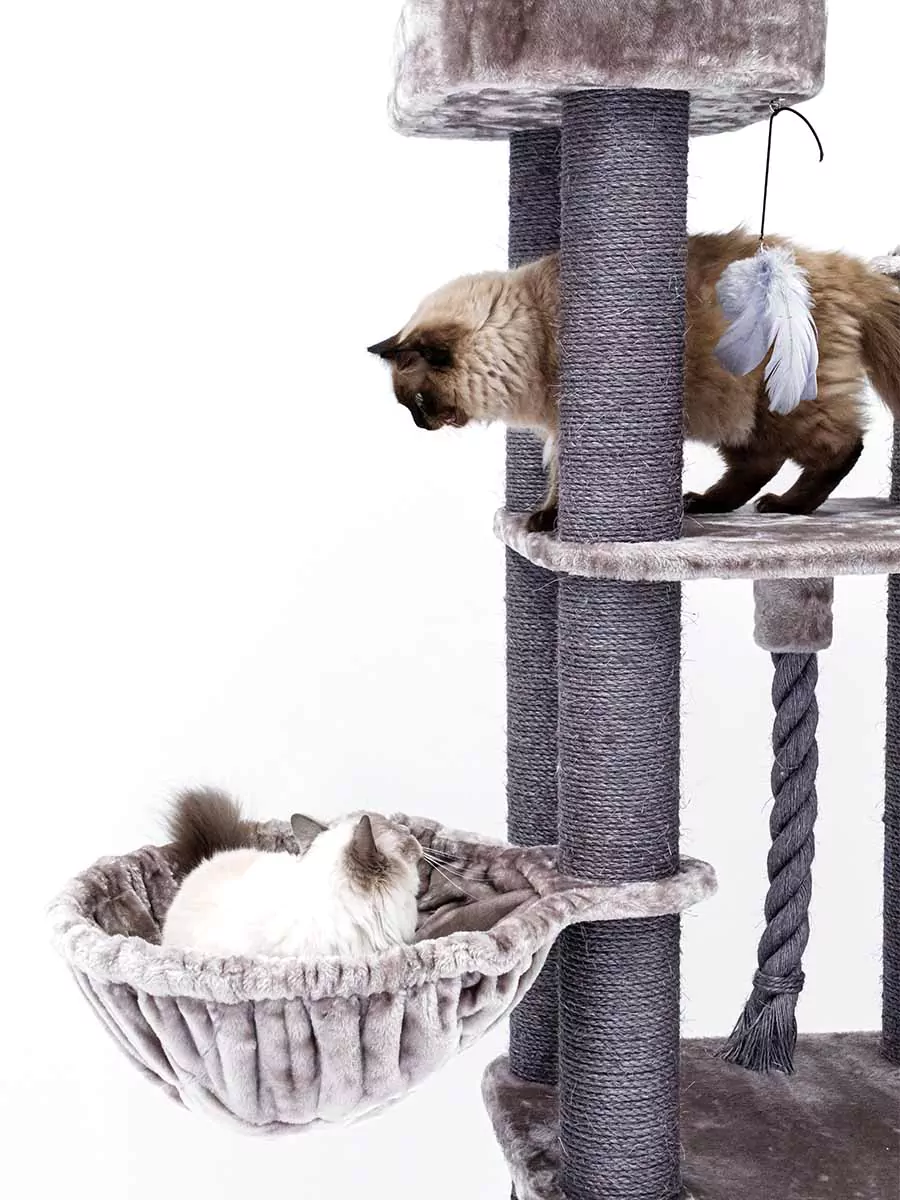 Petrebel Vista 170 kraapimispuu kassidele - Image 7