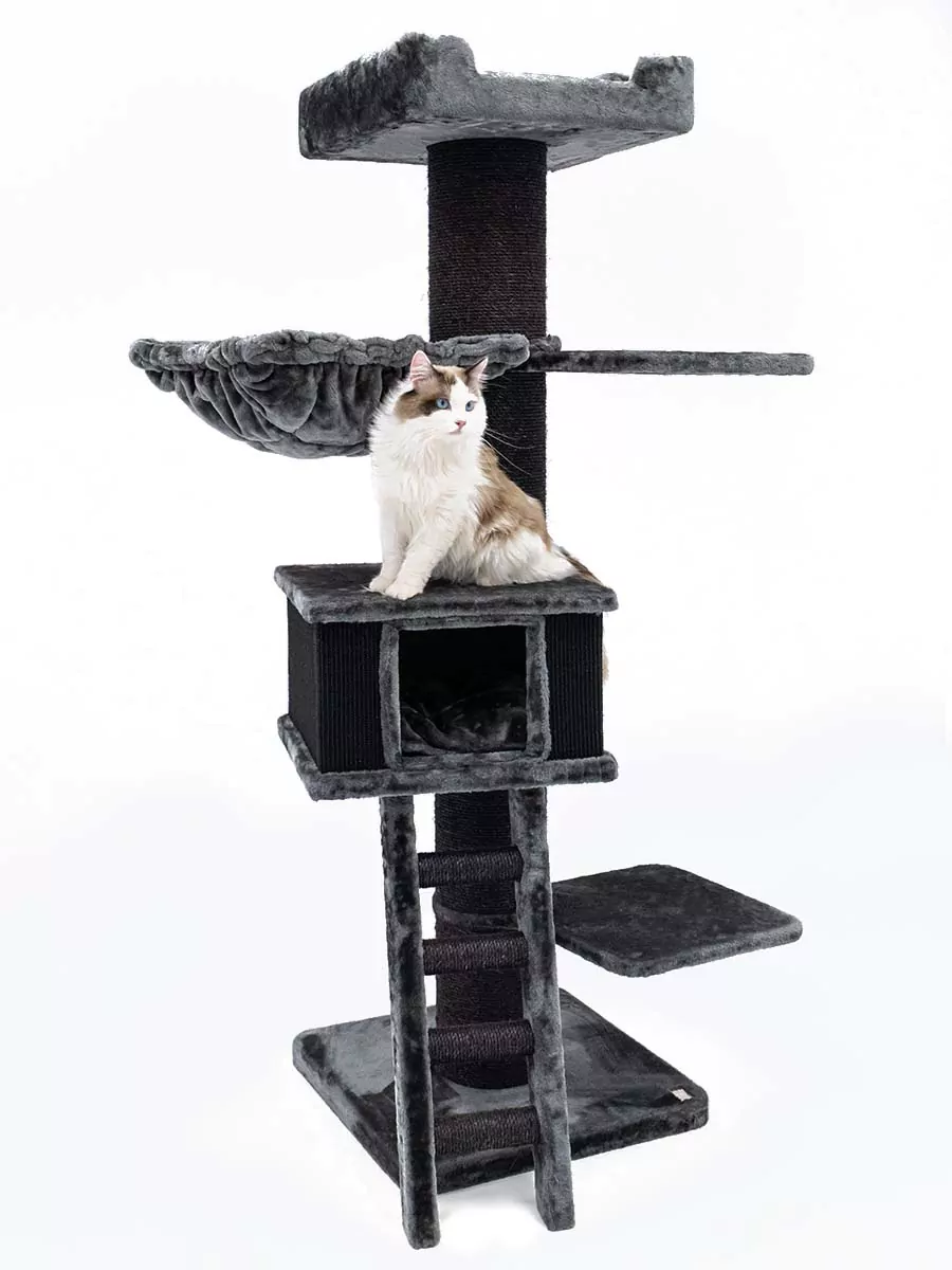 Petrebels Ragdoll 180 kraapimispuu kassidele - Image 2