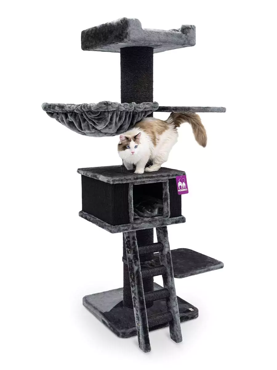 Petrebels Ragdoll 180 kraapimispuu kassidele - Image 3