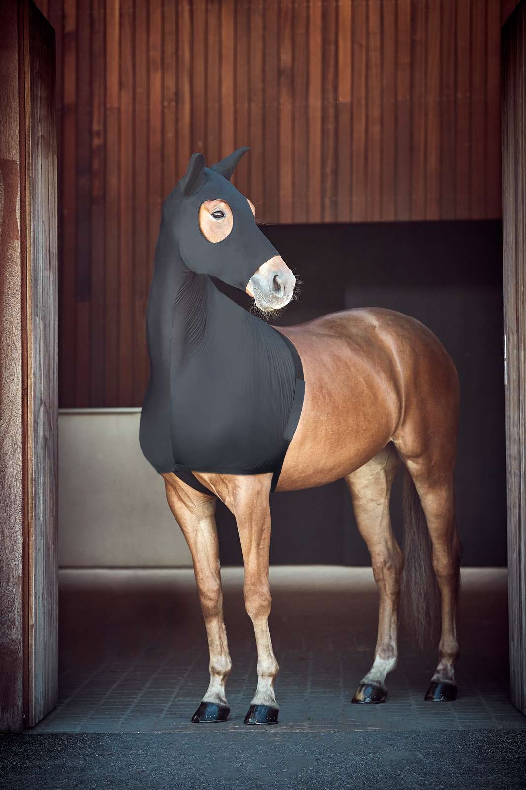 Catago FIR-Tech mask-vest - Image 2