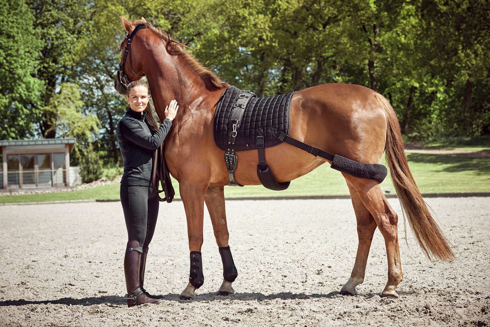 Catago FIR-Tech treening valtrap elastikutega, koolisõidu - Image 3