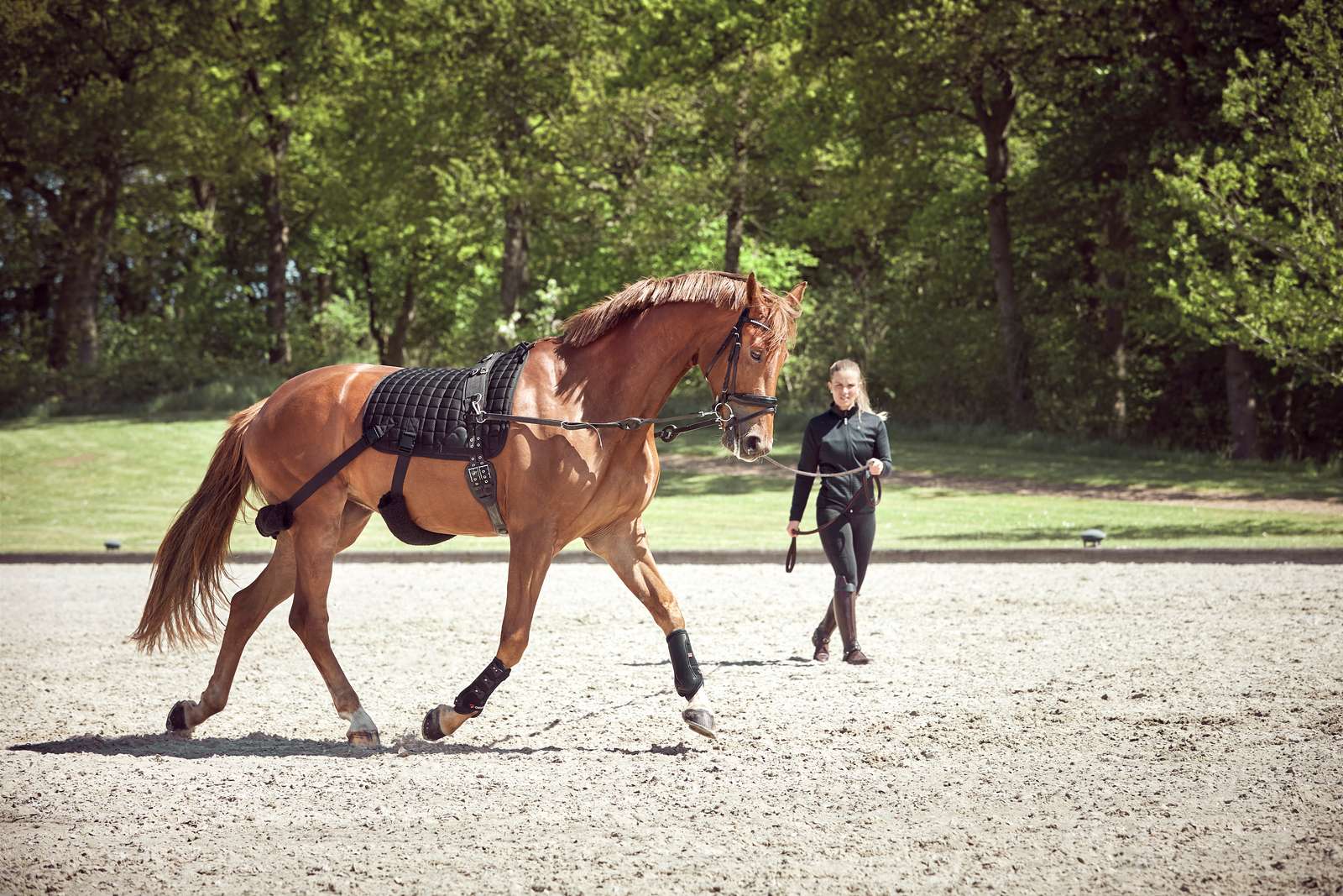 Catago FIR-Tech treening valtrap elastikutega, koolisõidu - Image 4