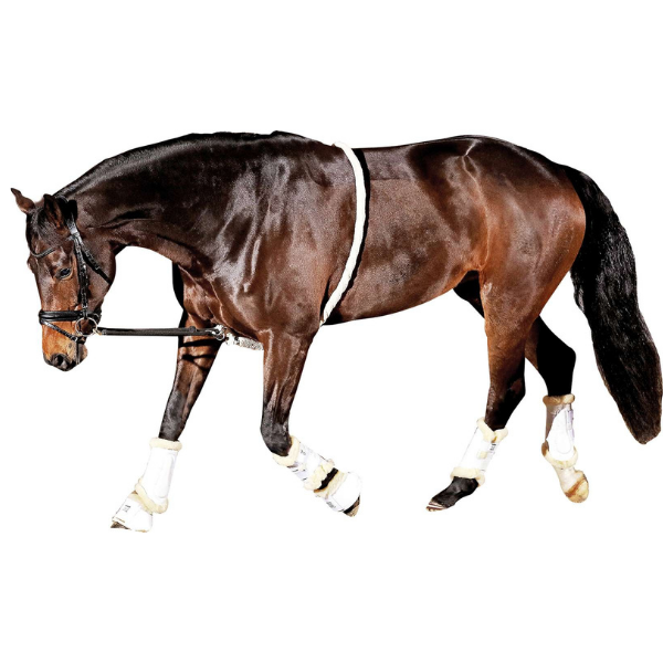 HorseGuard pehme kordetamise abivahend