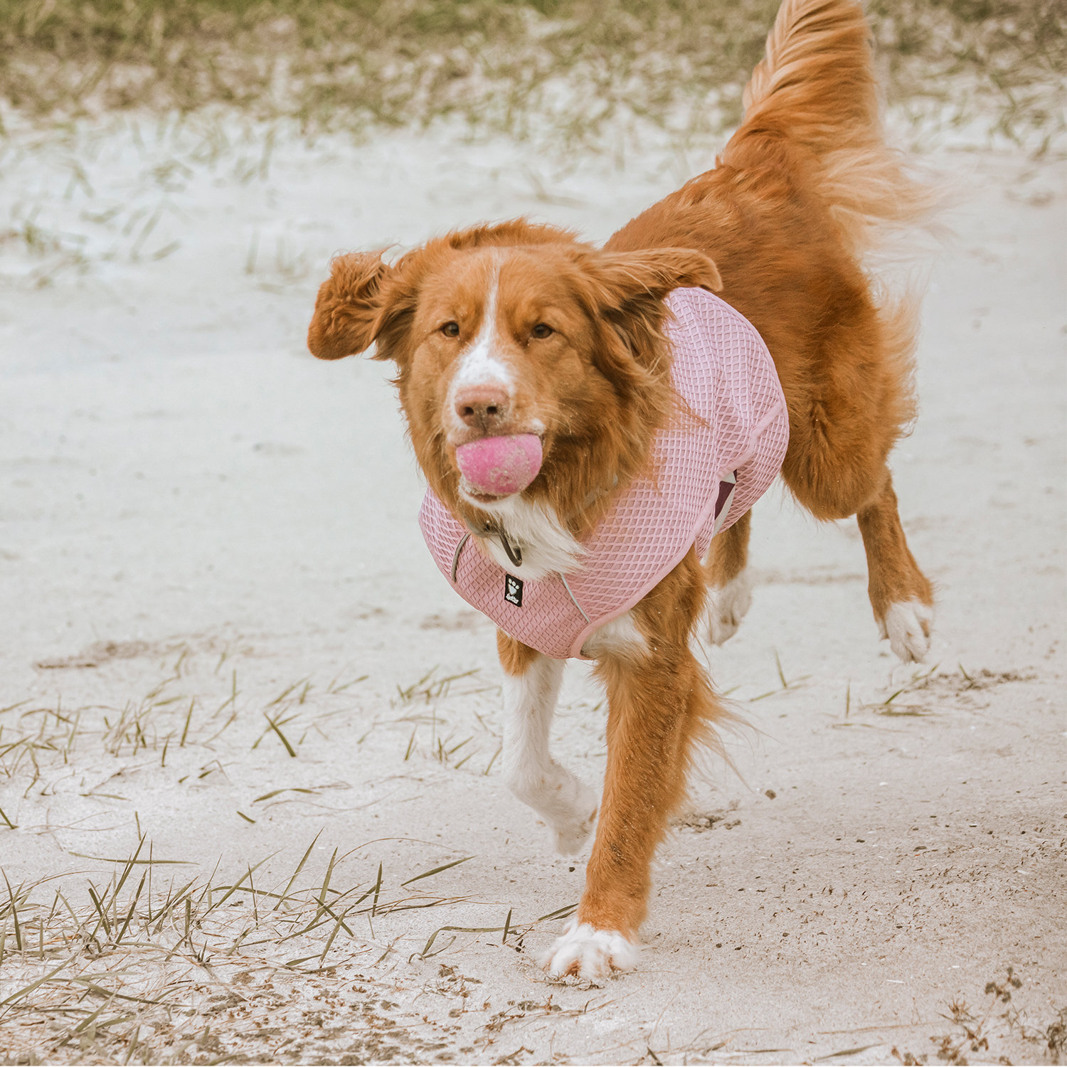 Hurtta Cooling Wrap vest koertele - Image 7