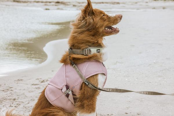 Hurtta Cooling Wrap vest koertele - Image 4