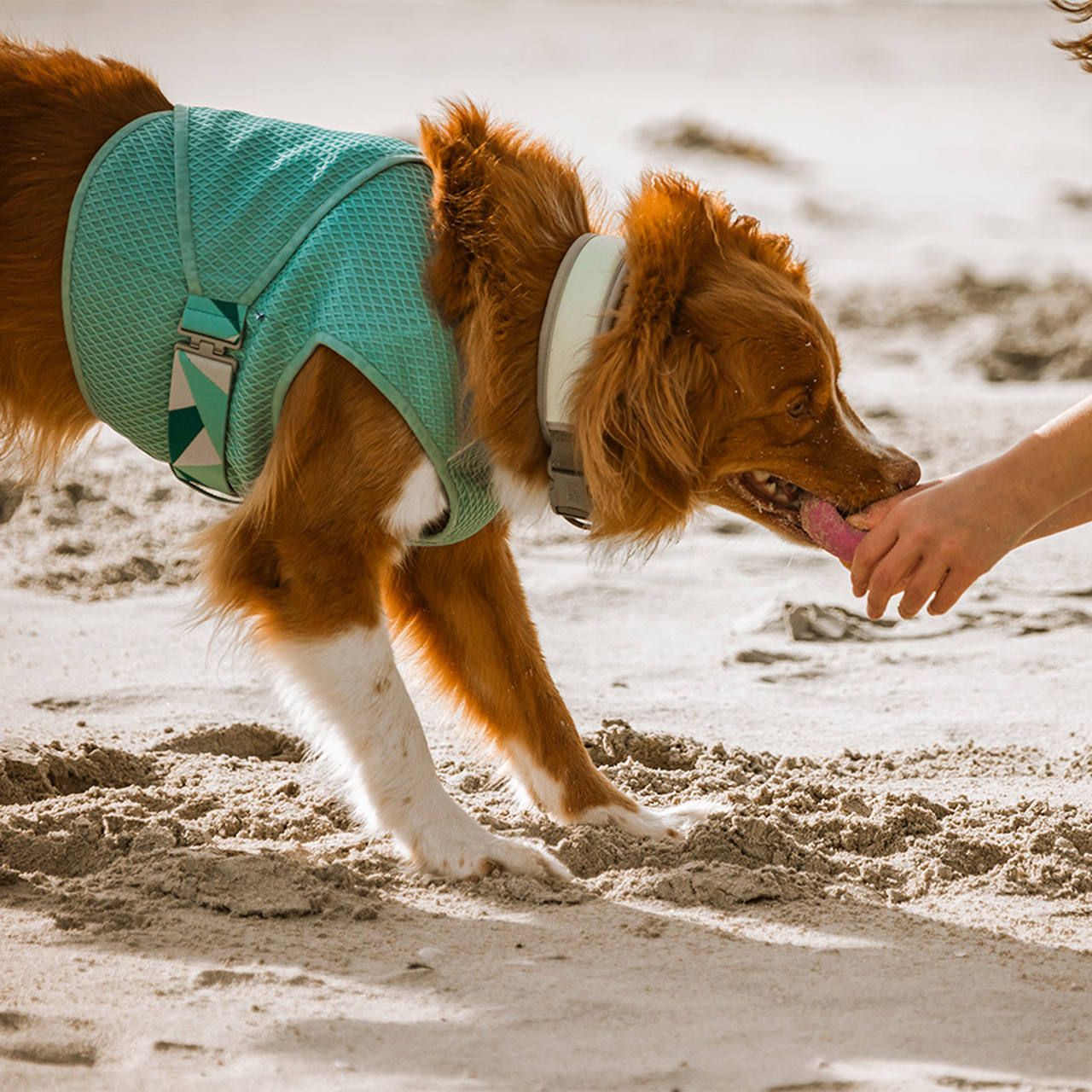 Hurtta Cooling Wrap vest koertele - Image 8