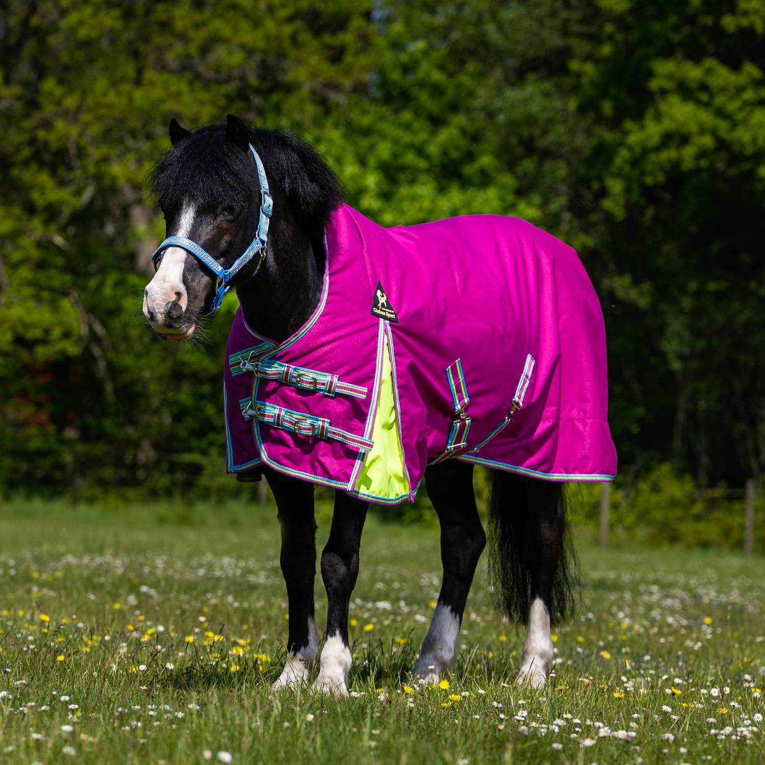 Globus Sport Tarzan-2 õuetekk hobustele, 600D - 200 g - Image 3