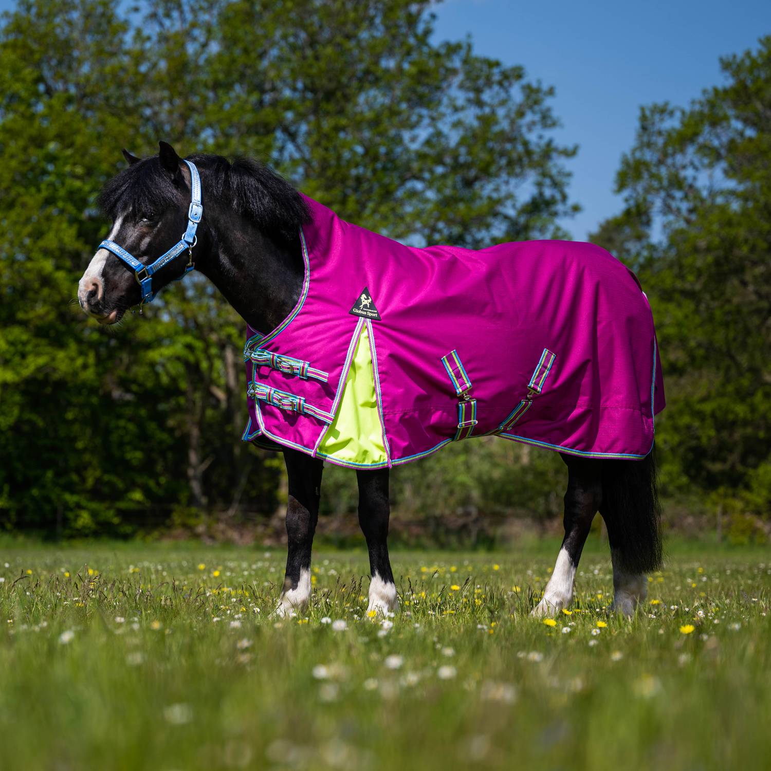 Globus Sport Tarzan-2 õuetekk hobustele, 600D - 200 g - Image 4