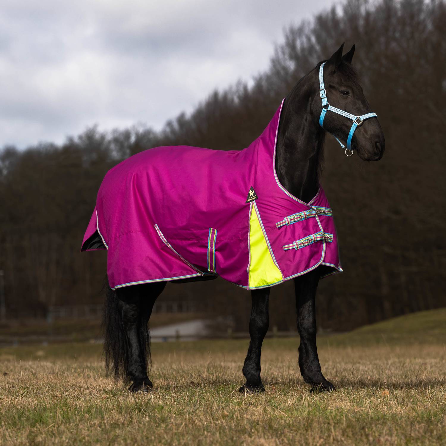 Globus Sport Tarzan-2 õuetekk hobustele, 600D - 200 g - Image 5