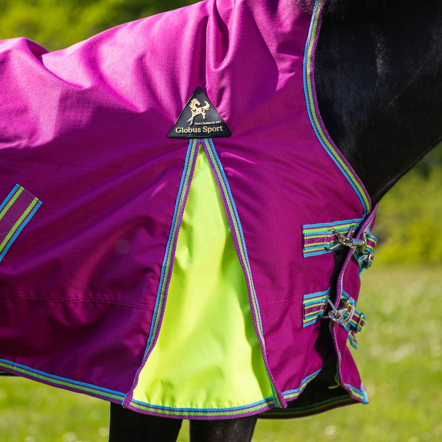 Globus Sport Tarzan-2 õuetekk hobustele, 600D - 200 g - Image 6