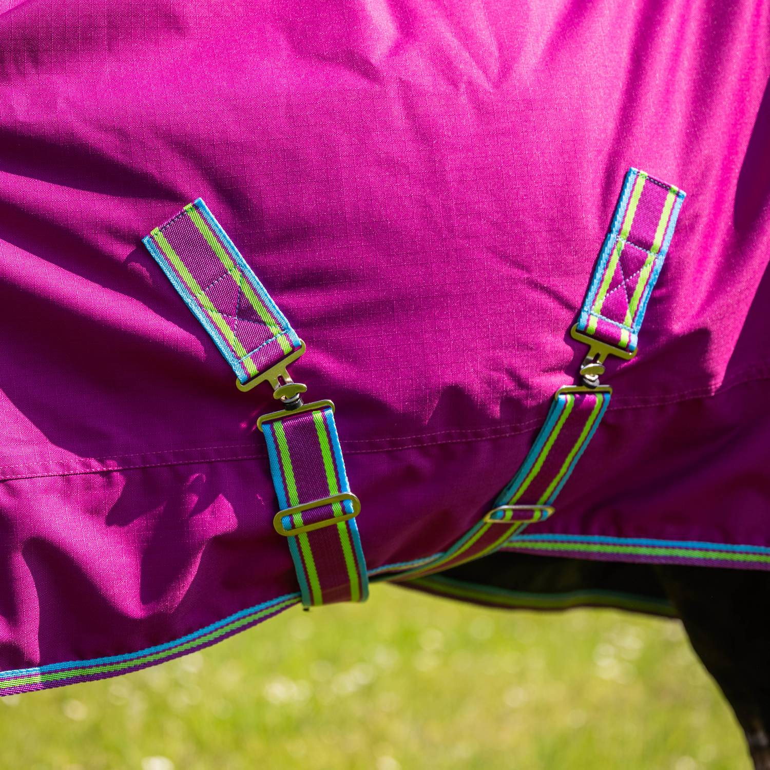 Globus Sport Tarzan-2 õuetekk hobustele, 600D - 200 g - Image 7