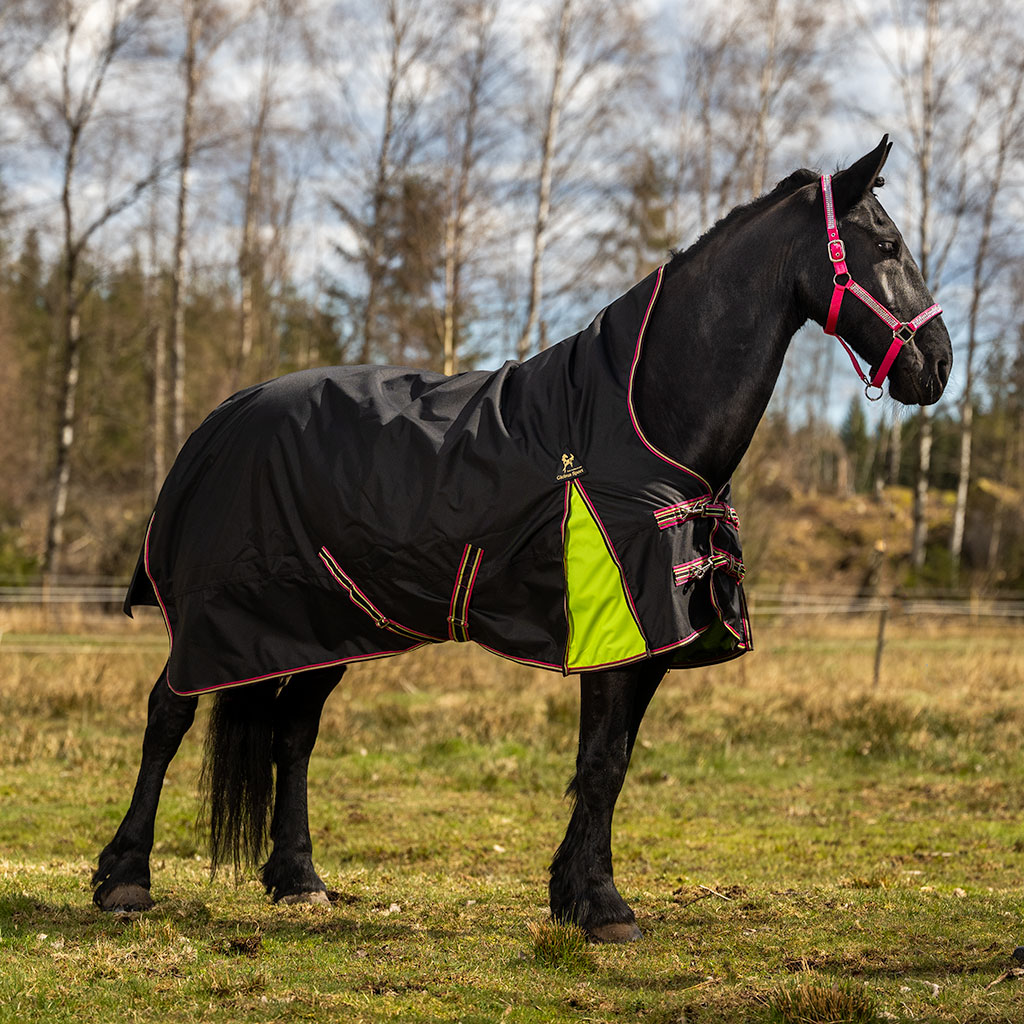 Globus Sport Tarzan-1 õuetekk hobustele, 600D - 100 g