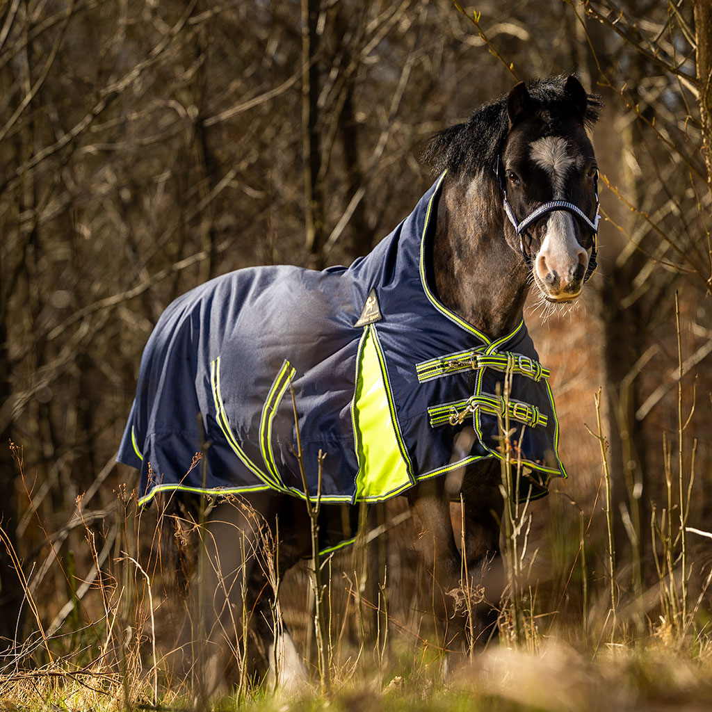 Globus Sport Tarzan-1 õuetekk hobustele, 600D - 100 g - Image 4