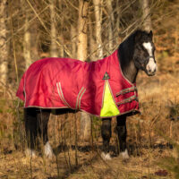 Globus Sport Tarzan-0 vihmatekk hobustele, 600D - 0 g