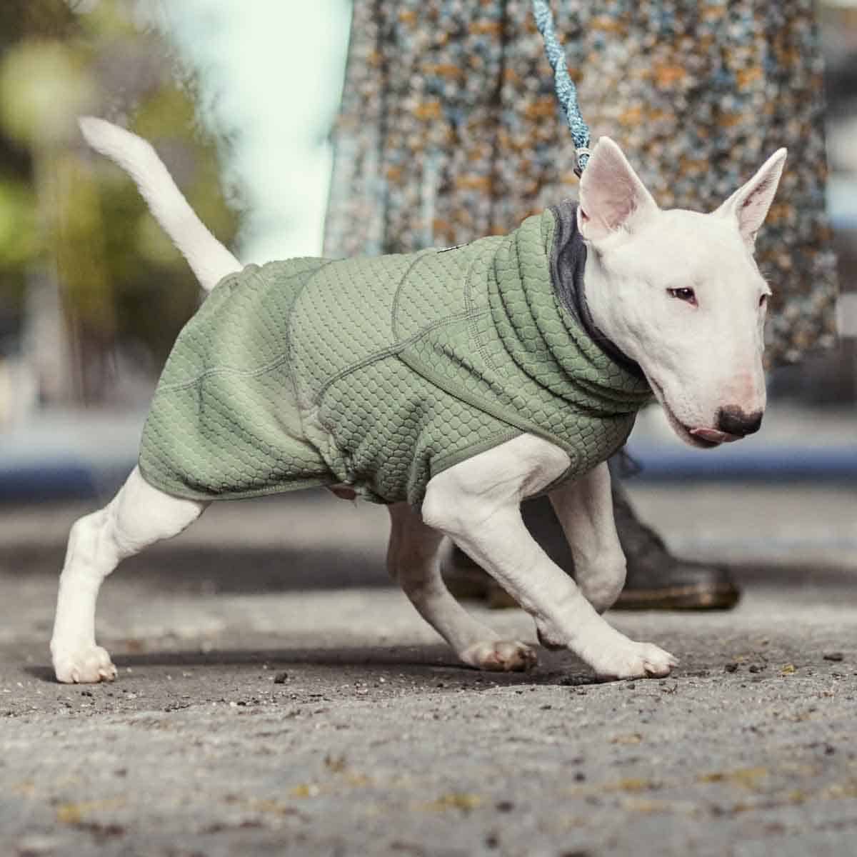 Hurtta Razzle-Dazzle Midlayer fliisjope koertele - Image 4