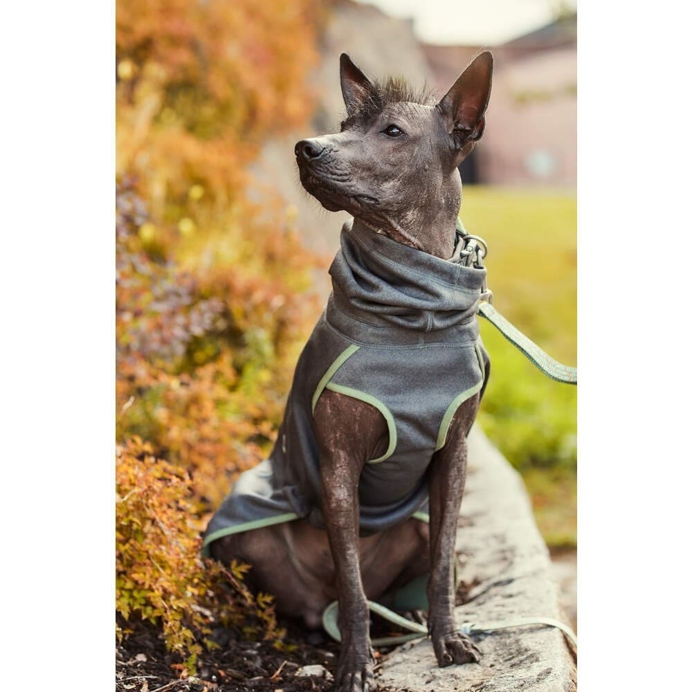 Hurtta Razzle-Dazzle Midlayer fliisjope koertele - Image 8