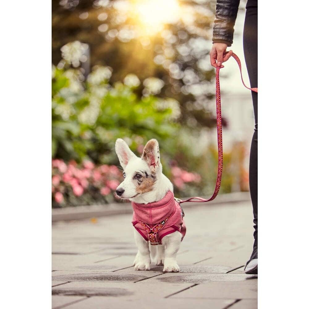 Hurtta Razzle-Dazzle Midlayer fliisjope koertele - Image 7