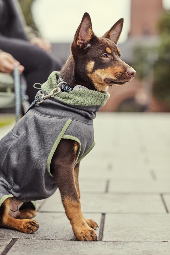 Hurtta Razzle-Dazzle Midlayer fliisjope koertele - Image 9