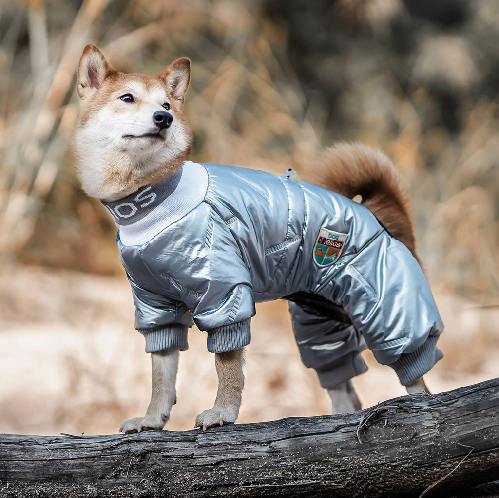 GS Helios talvekombinesoon koertele - Image 5