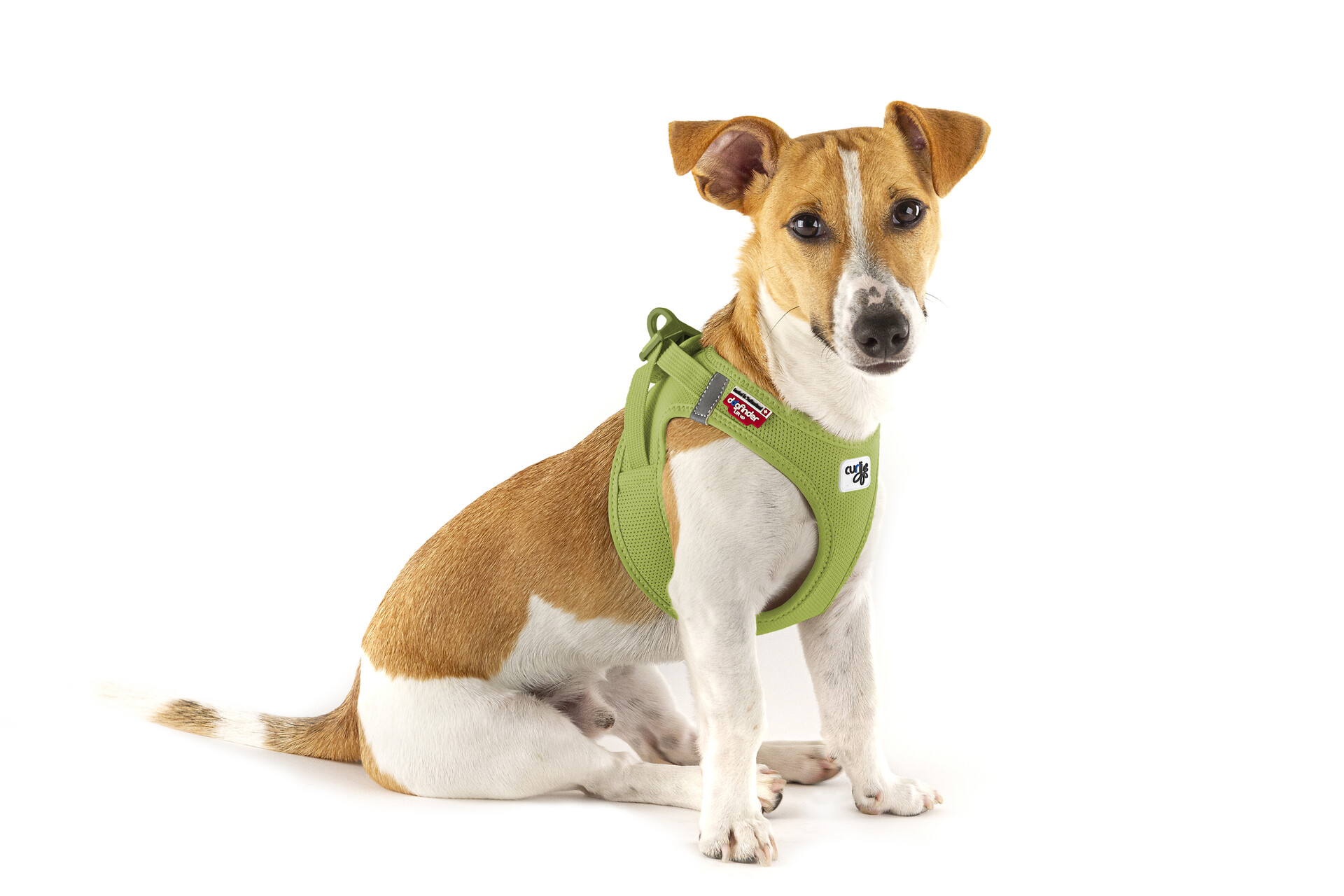 Curli Clasp Air-Mesh traksid väikestele koertele - Image 15