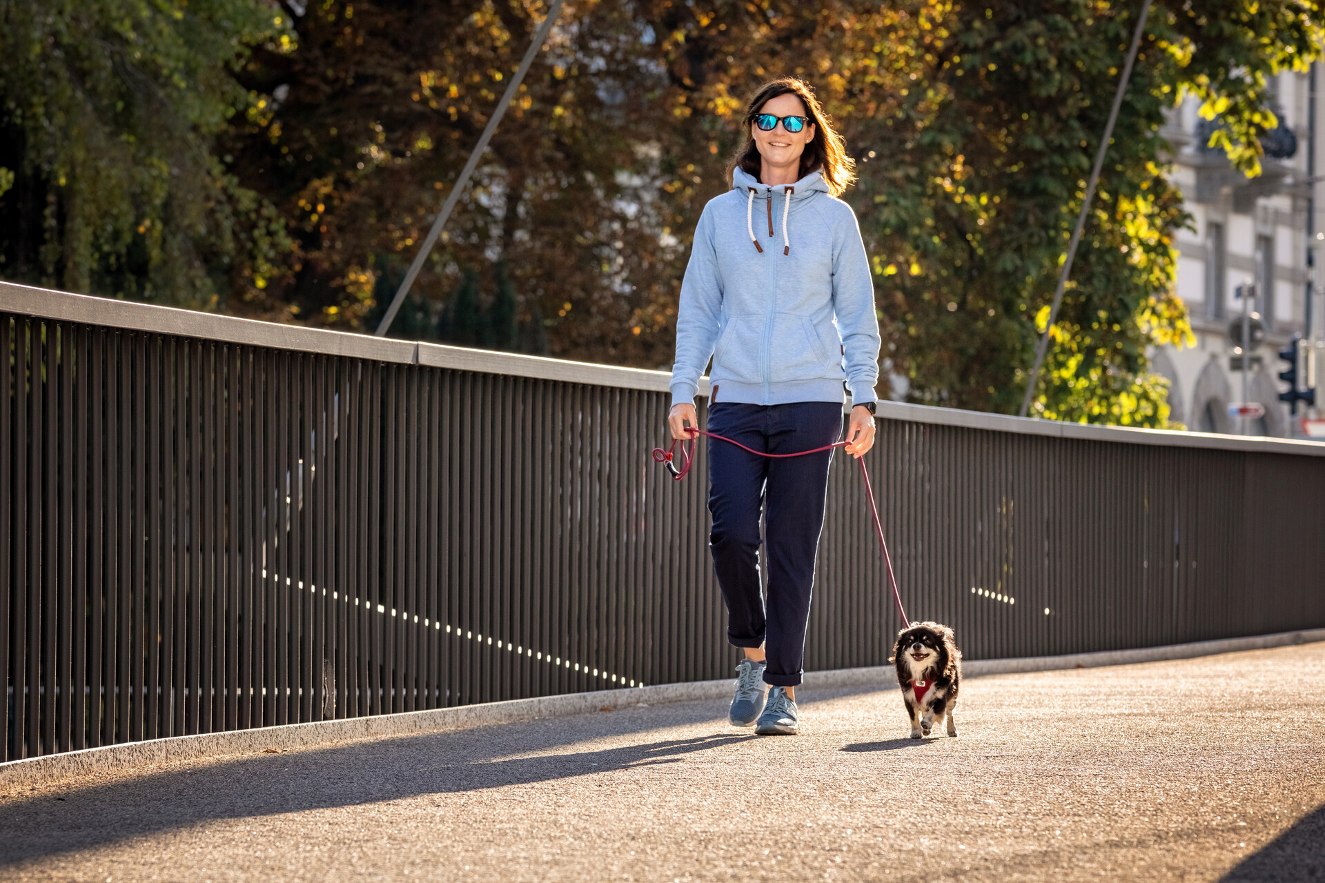 Curli Clasp Air-Mesh traksid väikestele koertele - Image 26