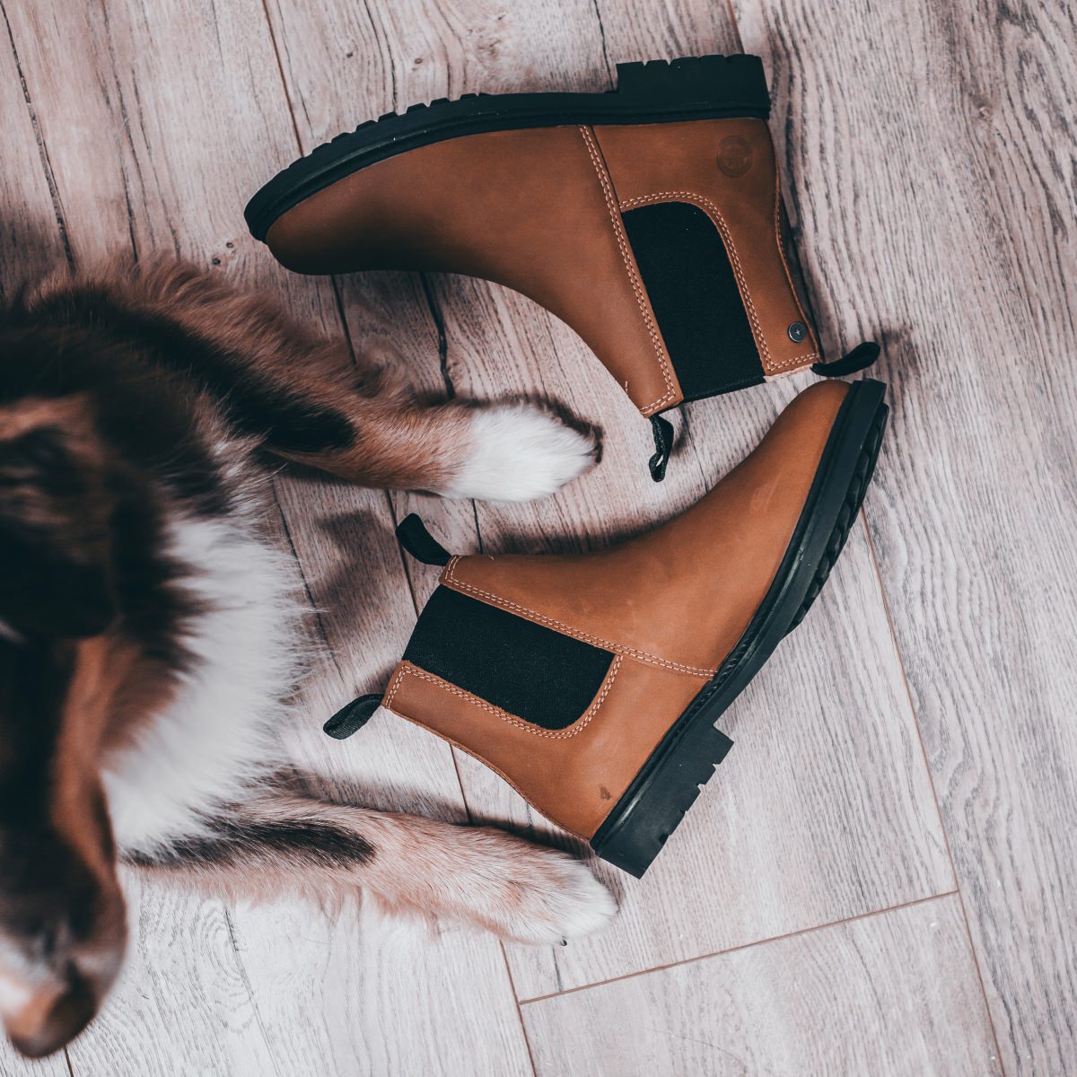 Suedwind New York poolsaapad - Image 9