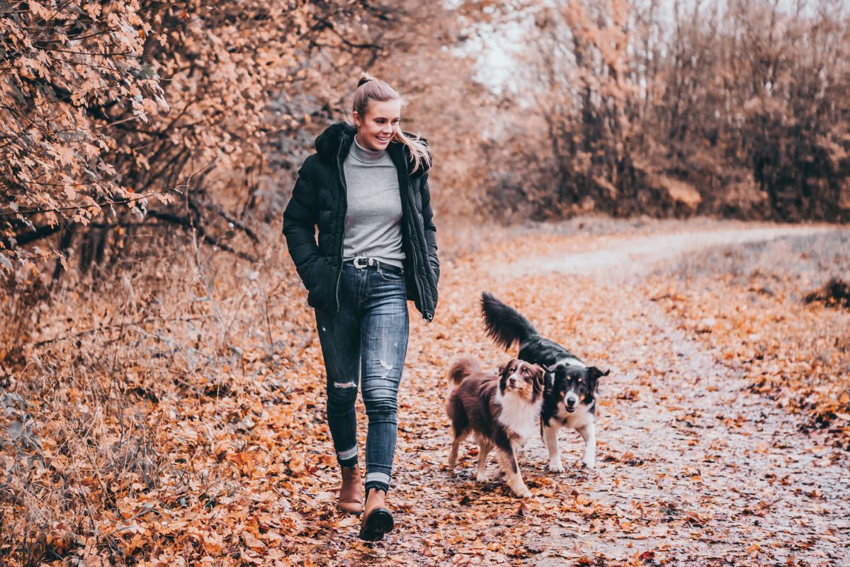 Suedwind New York poolsaapad - Image 8