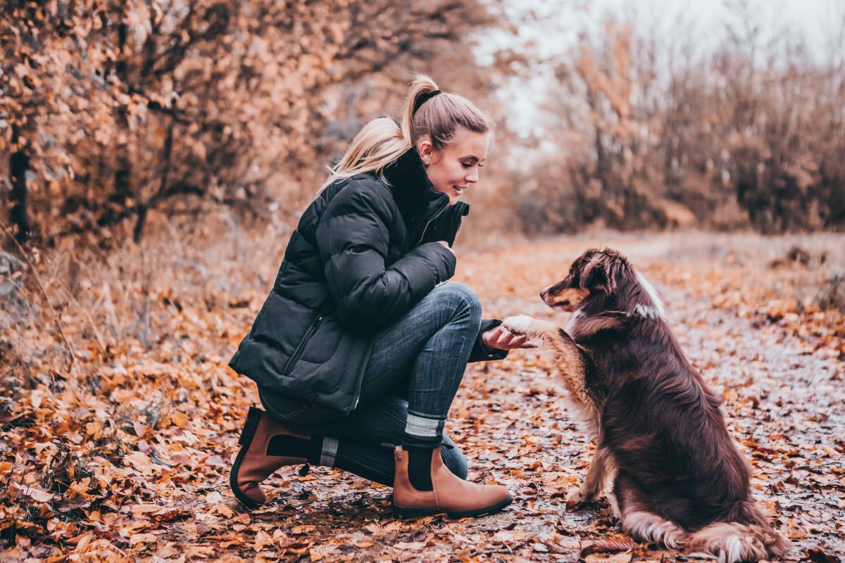 Suedwind New York poolsaapad - Image 15