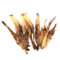 Kuivatatud hirve kõrv, suur