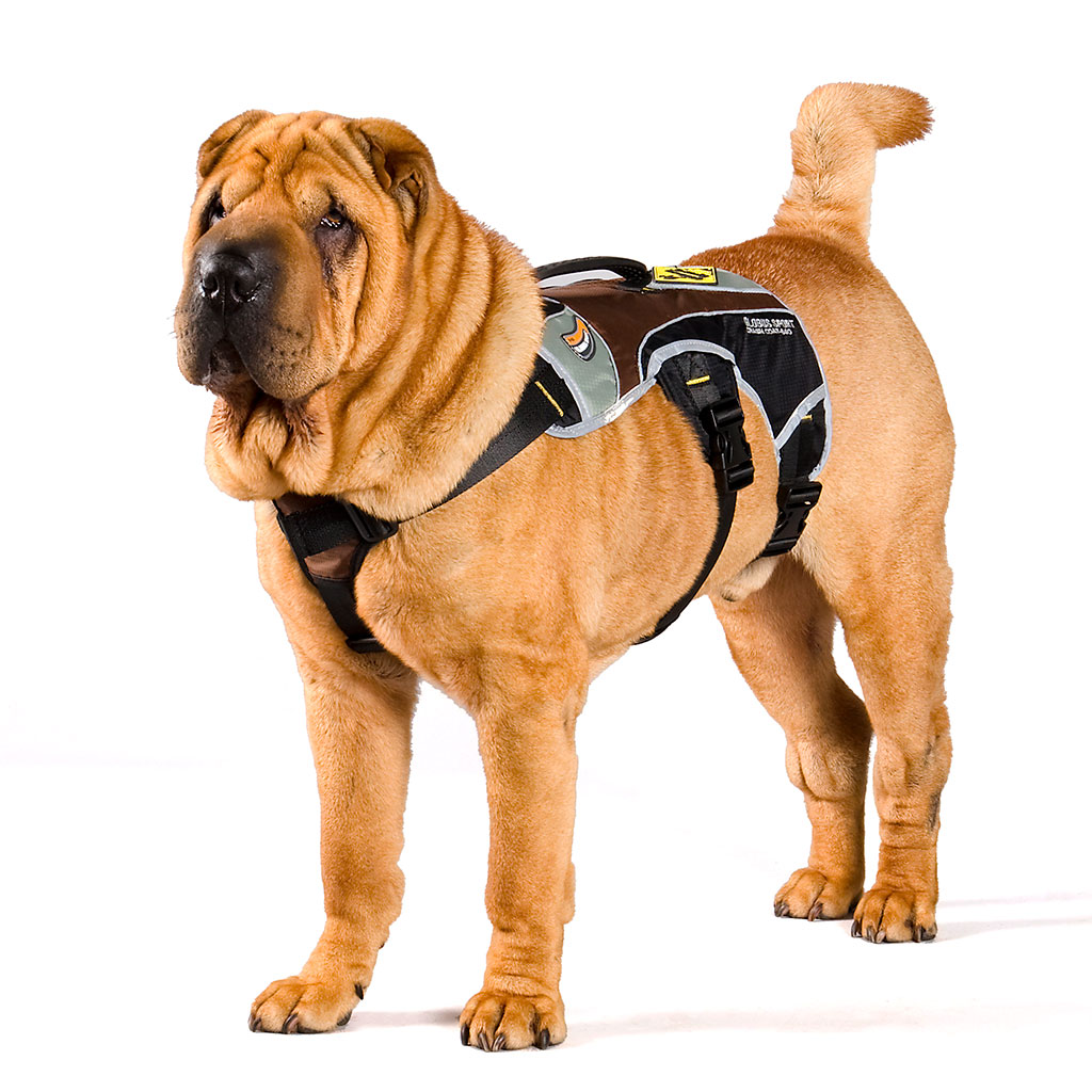 GS Outdoor Series koerte traksid - Image 6