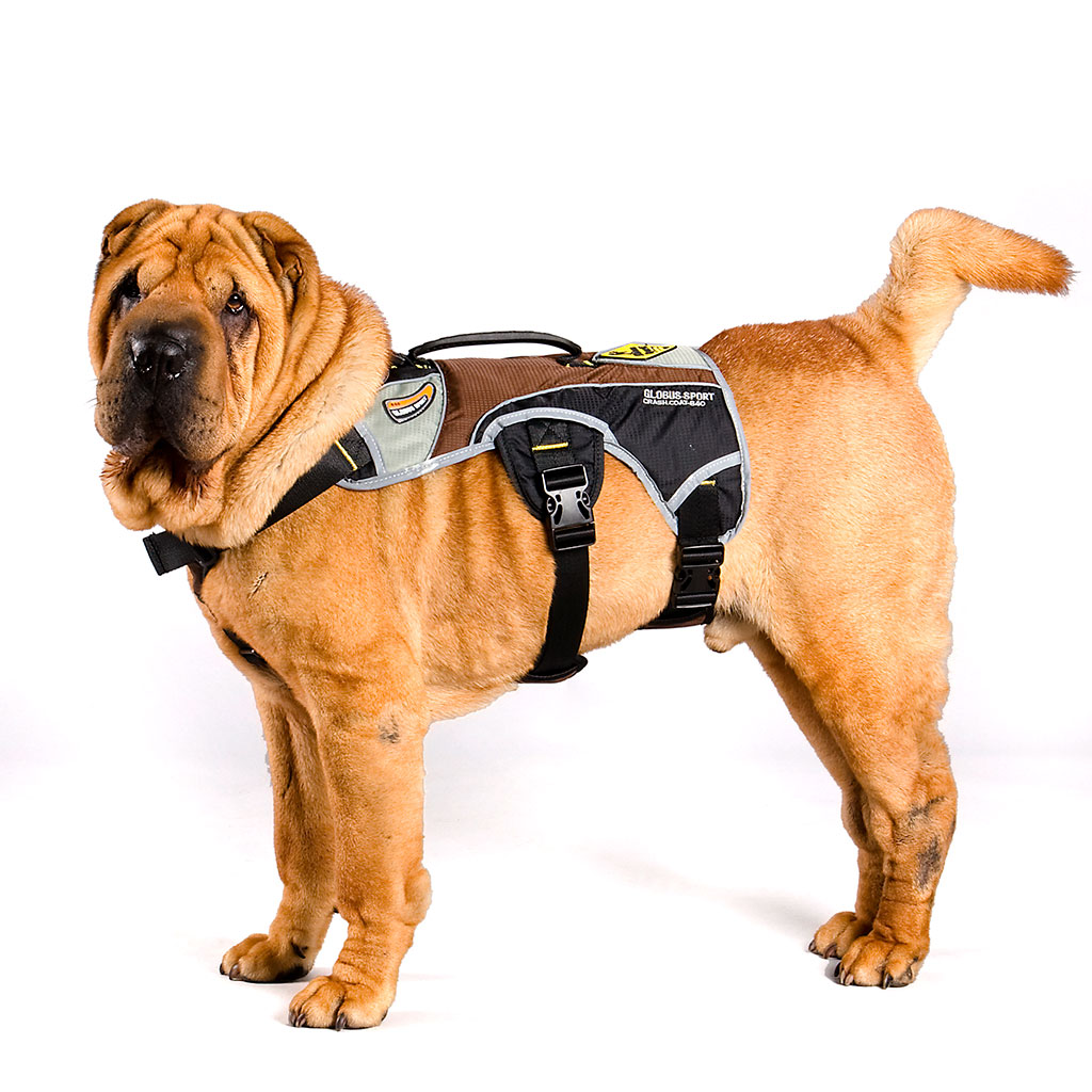 GS Outdoor Series koerte traksid - Image 7