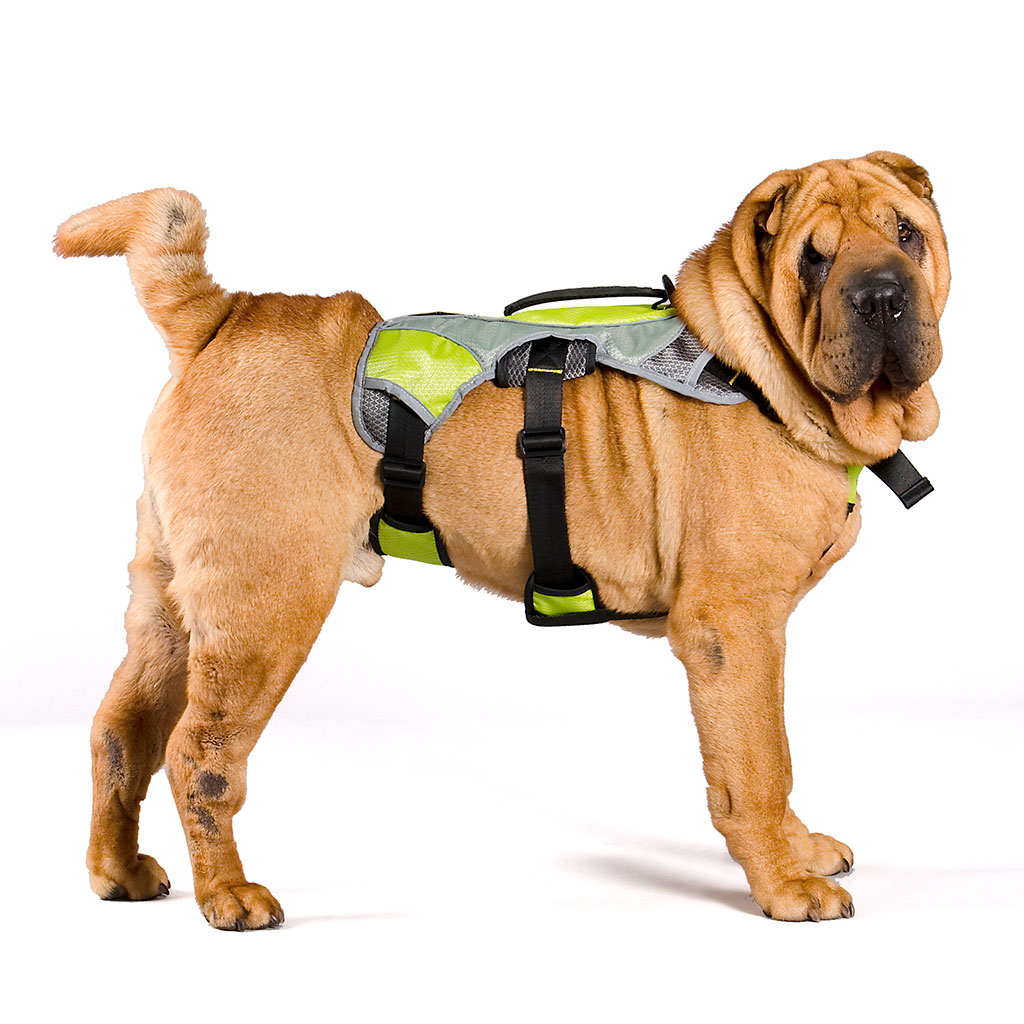 GS Outdoor Series koerte traksid - Image 4