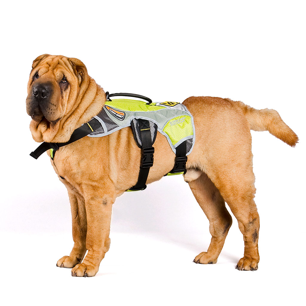 GS Outdoor Series koerte traksid - Image 3